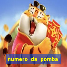 numero da pomba jogo do bicho